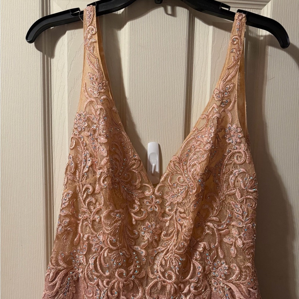 Dress. Elegant Peach Embroidered Dress